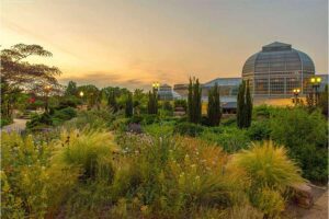 Tehran-Garden