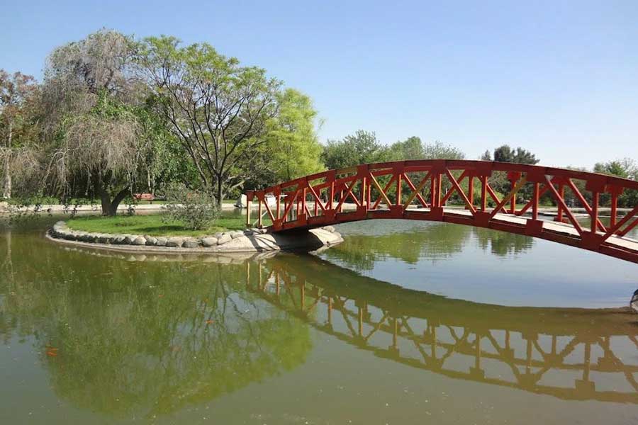 Tehran-Garden